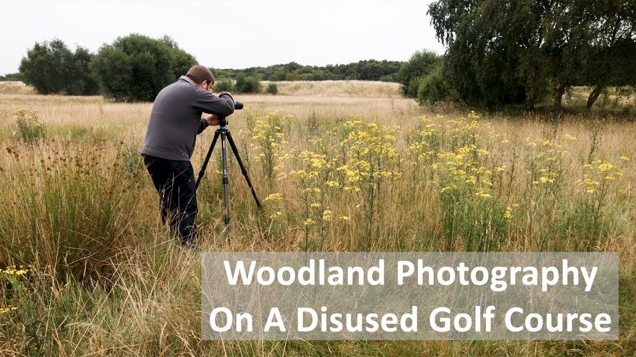 Woodland Photography on a Disused Golf Course