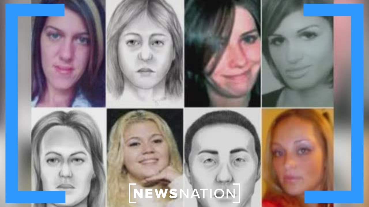 Accused Gilgo Beach killer searched for 'sadistic materials': prosecutors | Banfield