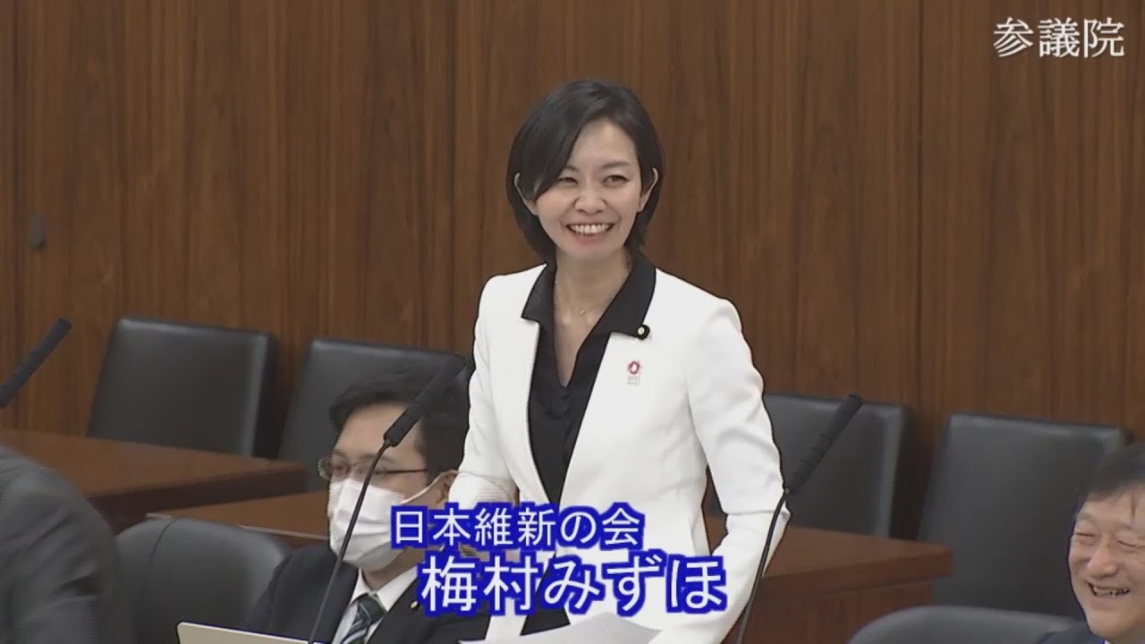 2025.04.11 東日本大震災復興特別委員会・質疑　梅村みずほ