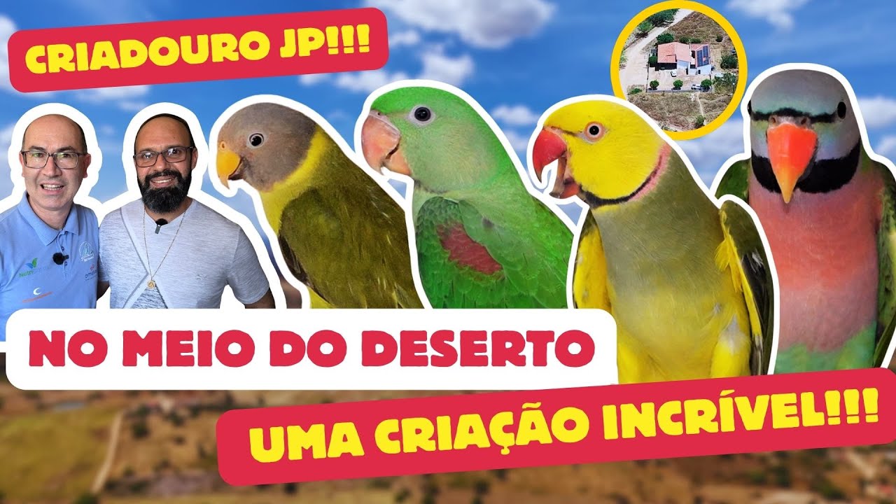 UM CRIADOURO NO MEIO DO DESERTO!!VOCÊ VAI CONHECER O DIFERENCIADO PARANHOS.