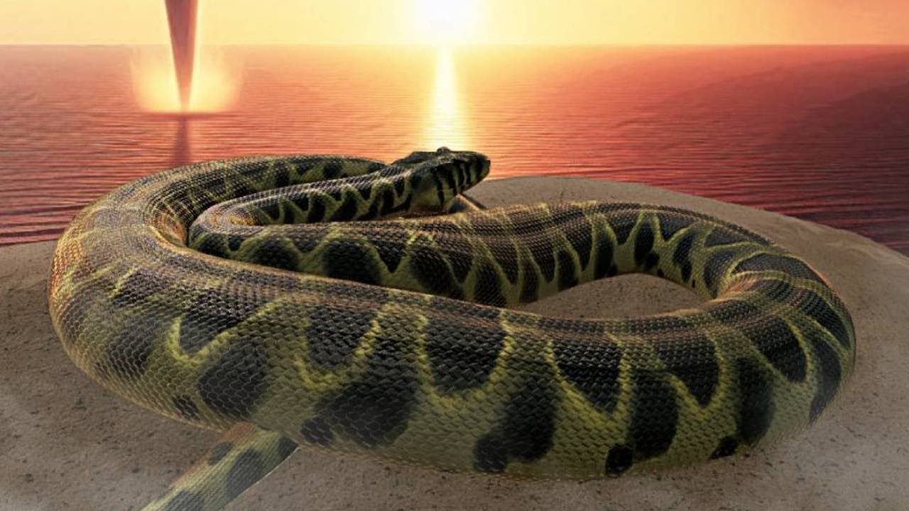 The Life of a Giant Solo Snake...