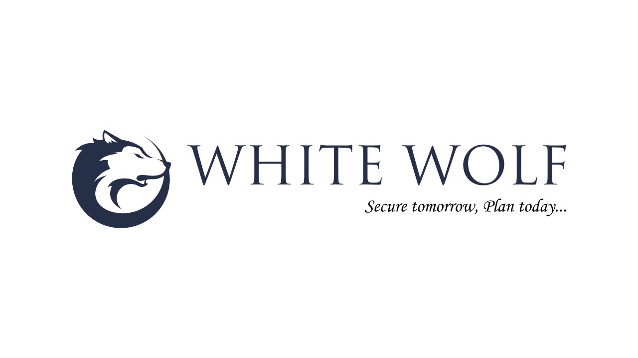Unveiling the Wise Investor's Secret: Volatility = Opportunity