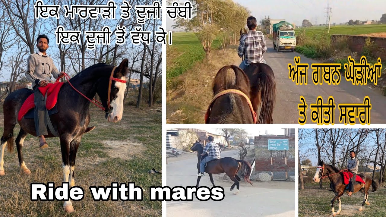 ਅੱਜ ਕਰਾਂ ਗੇ ਗਬਨ ਘੋੜੀਆਂ ਤੇ ਸਵਾਰੀ।