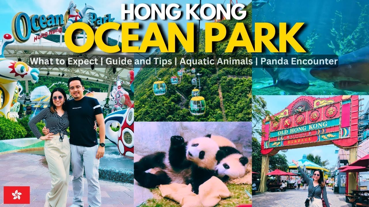 🇭🇰 OCEAN PARK HONG KONG VLOG: Grand Aquarium, Panda Encounter, Polar Adventure, Rides & Attractions