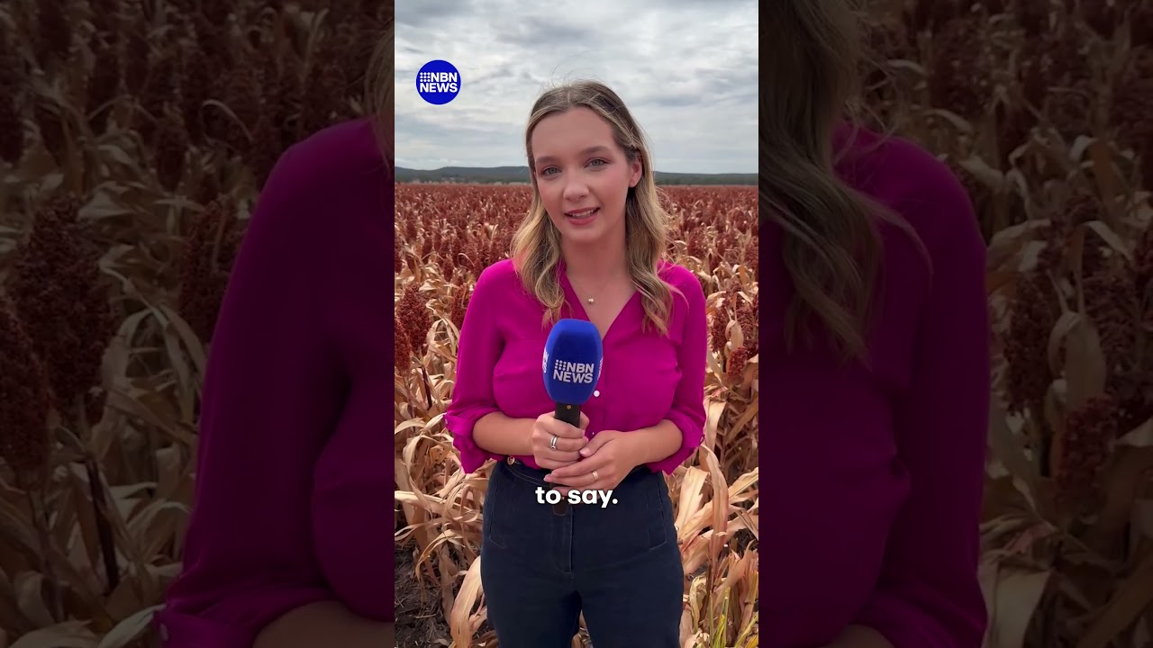 Harvest challenges leaving farmers struggling  | 9 News Australia