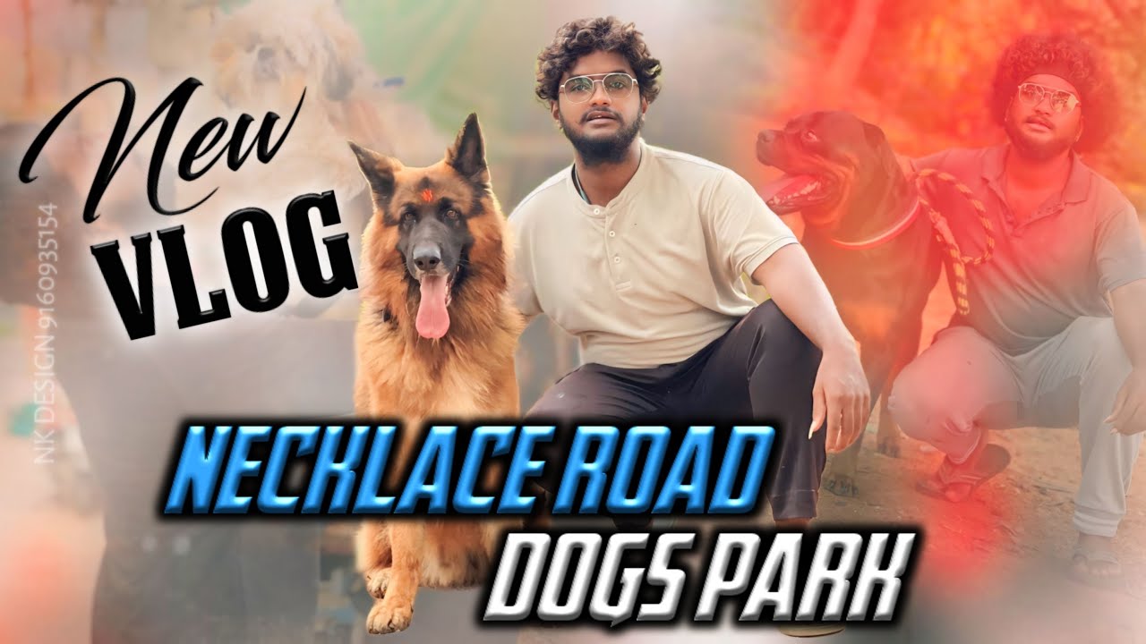 NECKLACE ROAD DOGS PARK || VENKY SANDY || DOGS PARK VLOG