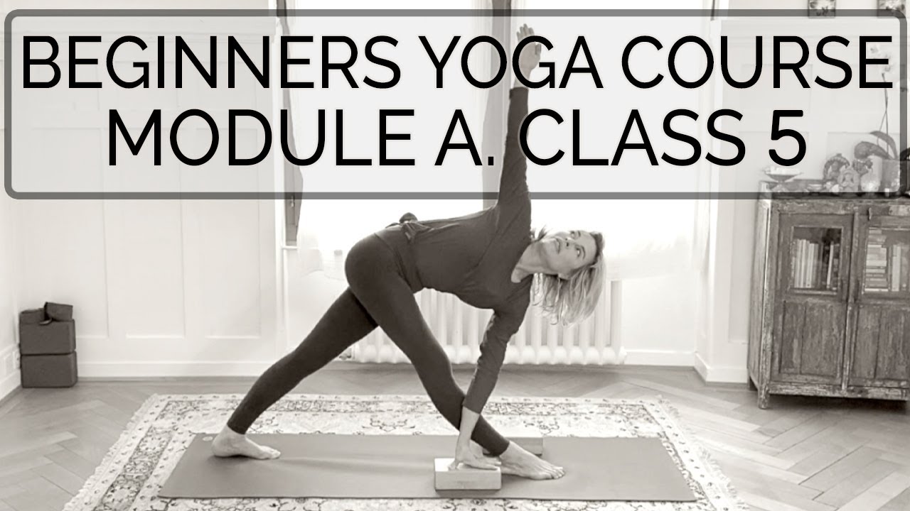 Beginners Yoga Course | Module A, Class 5 | 48 min | Cat de Rham | Online Yoga Teaching