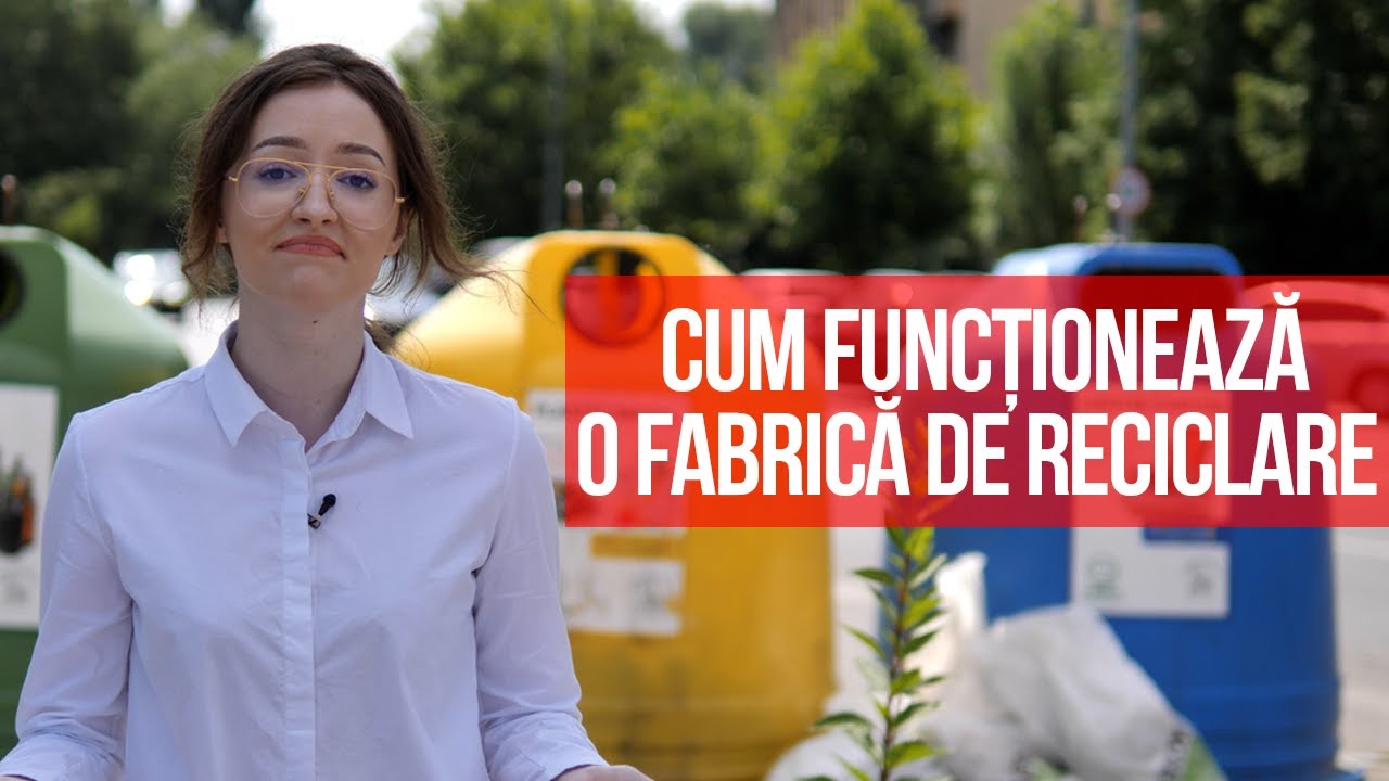 Cum funcționează o fabrică de reciclare - CaseBune.ro