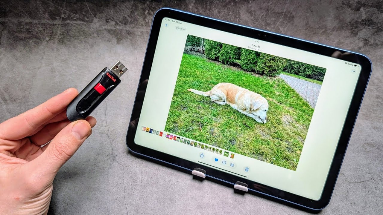How to Transfer Pictures & Videos from iPad 11 (A16) to USB Flash Drive or HDD /SSD external Drive