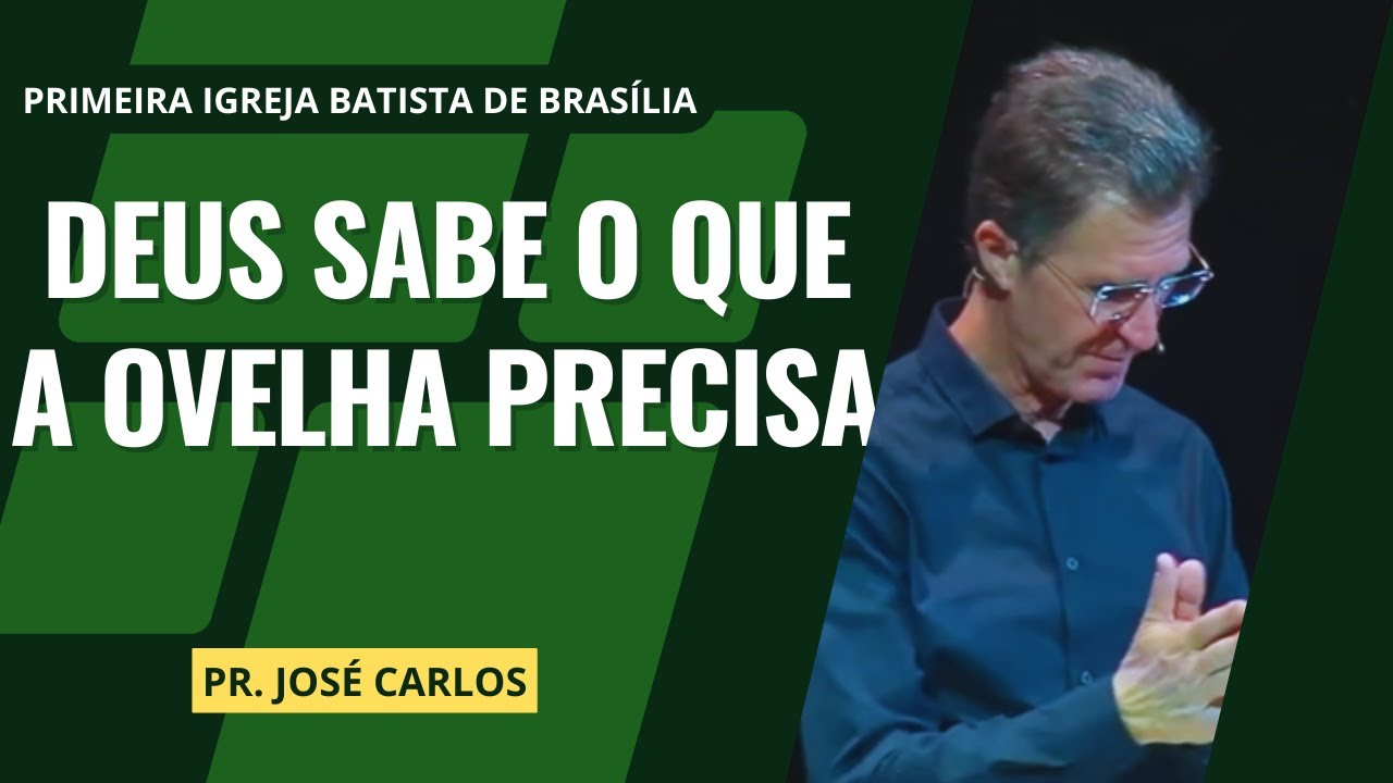 Deus sabe o que a ovelha precisa I Pr. José Carlos I 19/05/2024