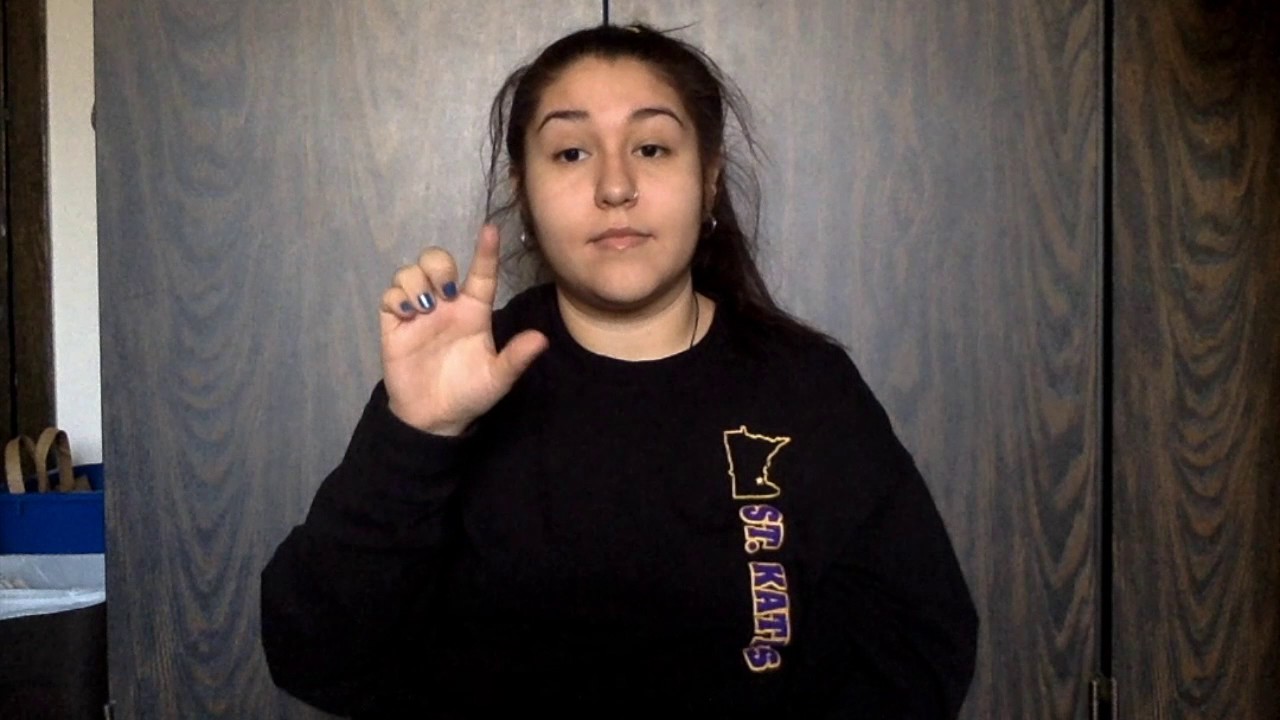 ASL video expression