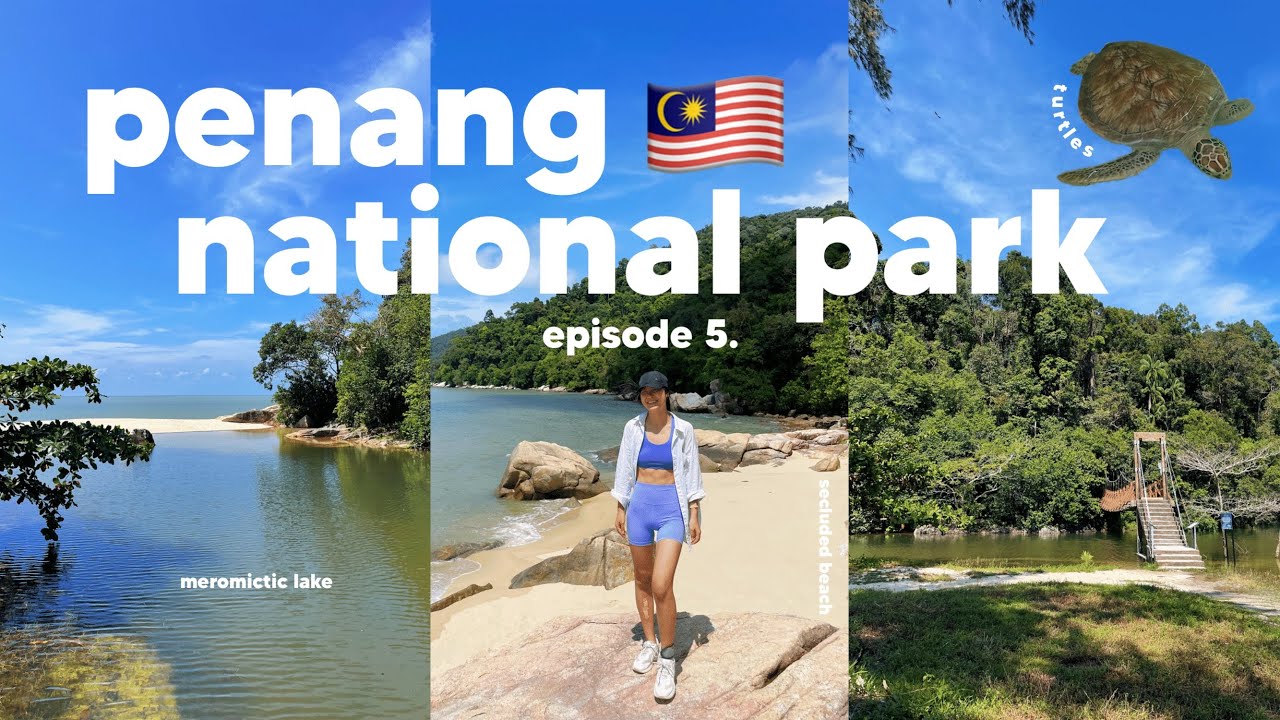 don't miss this if you're visiting Penang! exploring Penang National Park 🌳  | Malaysia vlog 🇲🇾