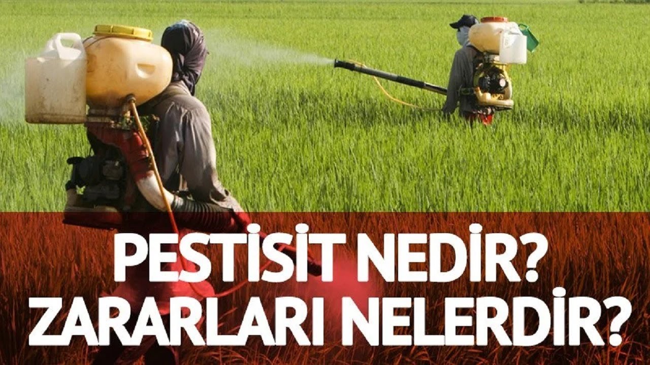 Pestisit Nedir? Pestisit T&uuml;rleri Nelerdir? Pestisit Zararları Nelerdir?