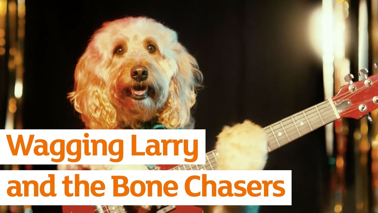 Wagging Larry and the Bone Chasers | Sainsbury's