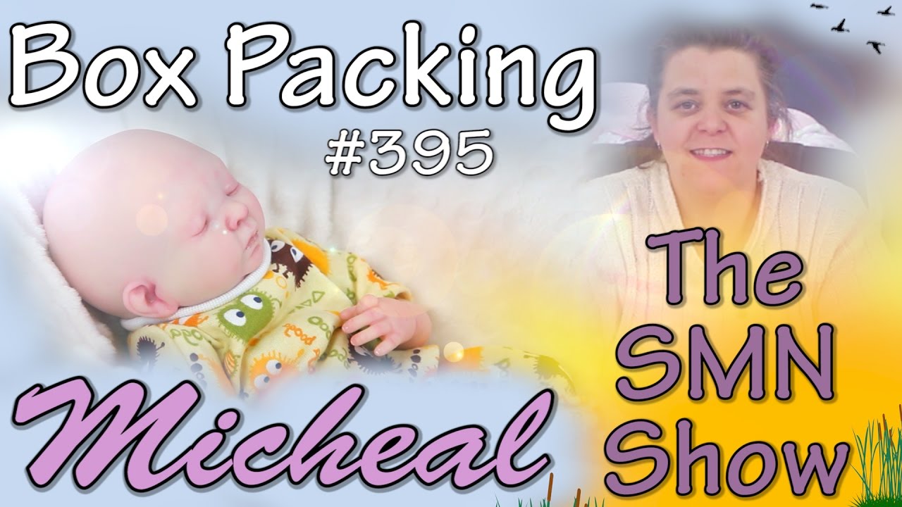 Reborn Baby Boy Micheal BOX PACKING - The SMN Show #395