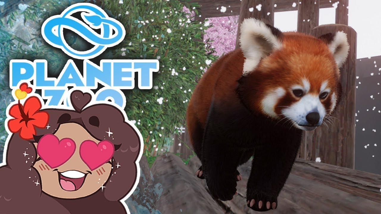 Bouncy Berry RED PANDA Babies!! 🐏 Planet Zoo: Ice Ice Outpost • #43