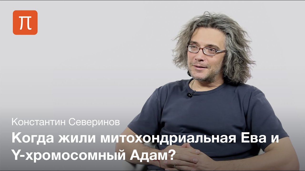 Северинов Константин — Митохондриальная Ева