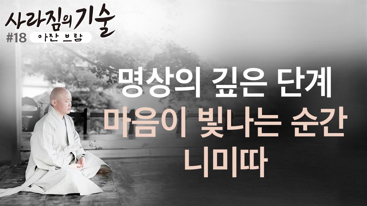 (18강) 명상이 깊어지면, 마음이 빛난다. - 니미따ㅣ사라짐의 기술ㅣ혜안스님