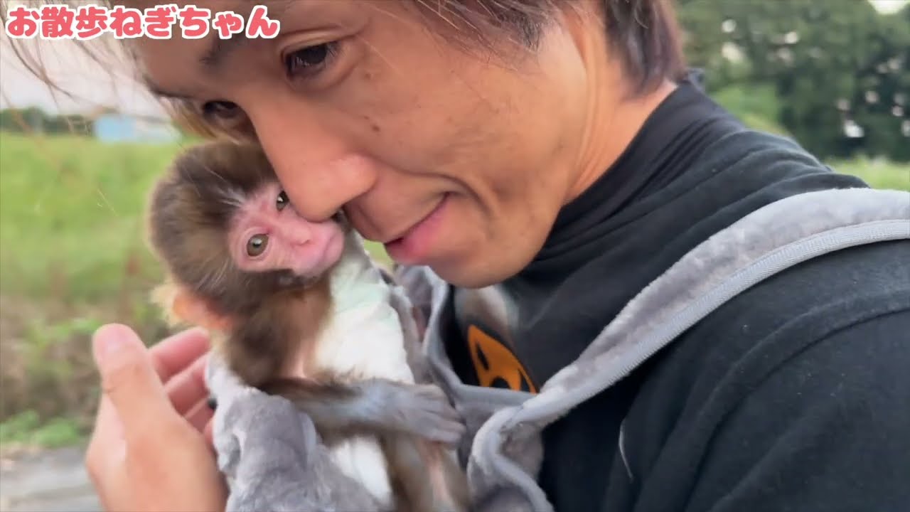 癒し&ほのぼの💕　やっさん、かあるくんにだいくんあらしくんにねぎちゃんも🥰　おまけ動画あり