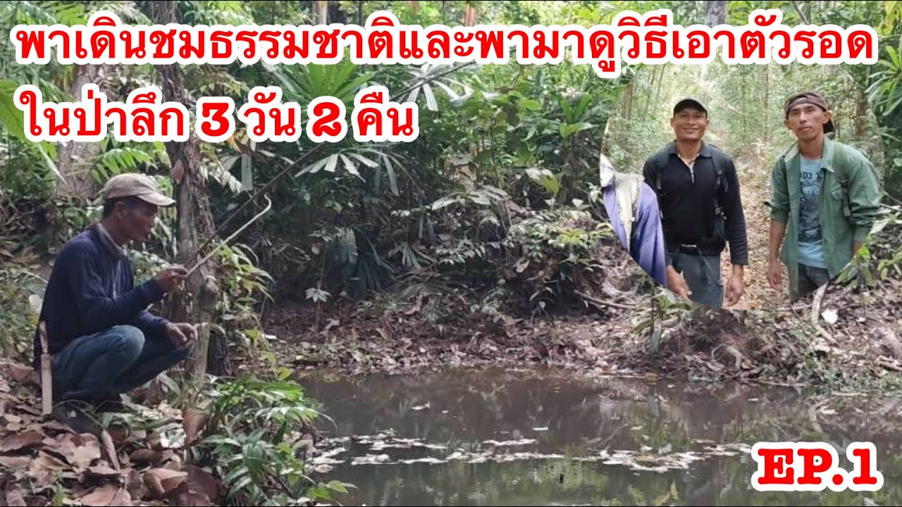 Ep.1 พาเดินชมธรรมชาติและวิธีเอาตัวรอดอยู่ในป่าลึก3วัน2คืน 25/1/2569 | เด่นเดินดง