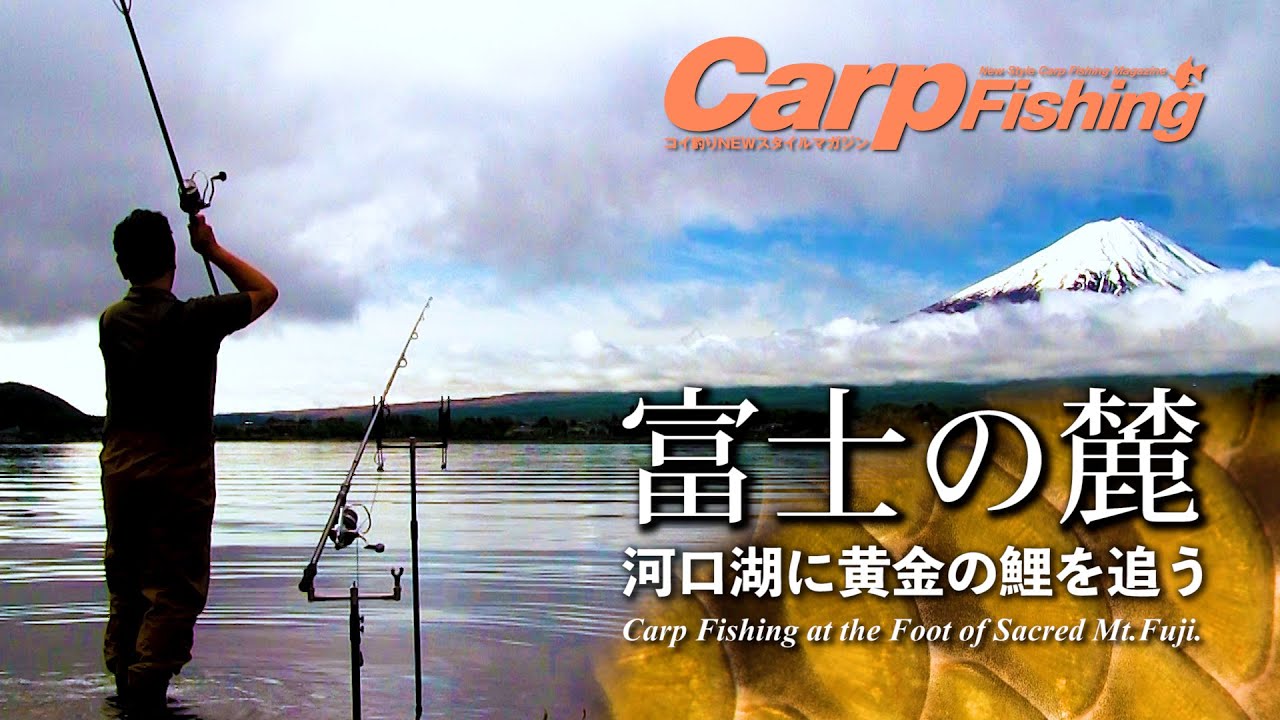 富士の麓・河口湖に黄金の鯉を追う　～European Style Carp Fishing～