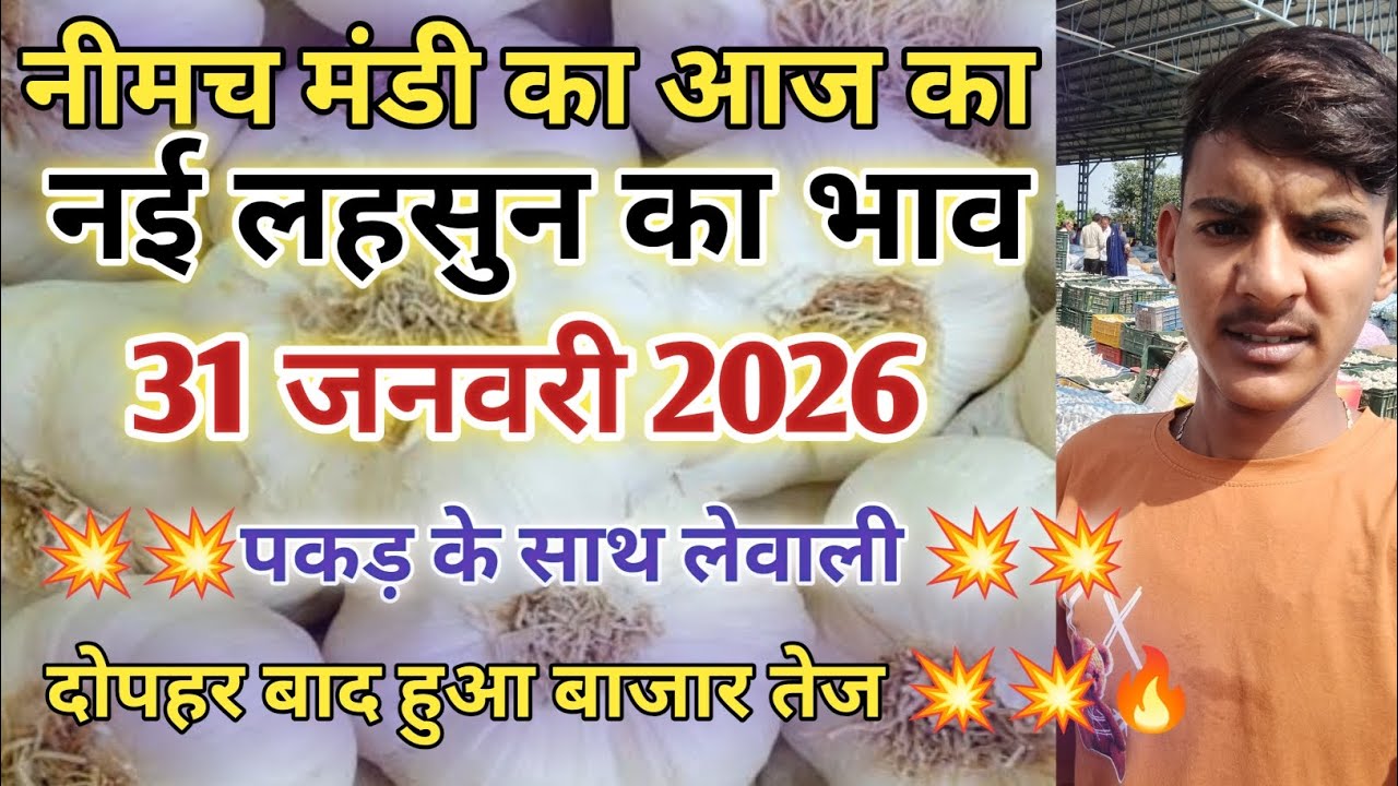 नीमच मंडी आज का नई लहसुन का भाव  / Neemuch mandi bhav today /Neemuch mandi lahsun bhav