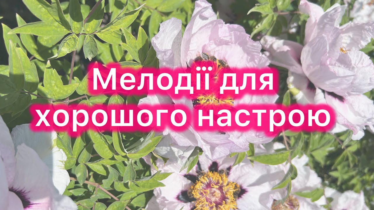 Музика для настрою. Милування весняною природою