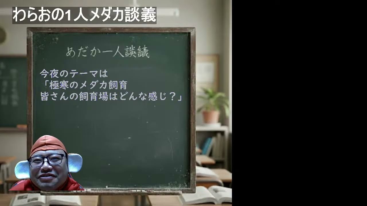 わらおの1人メダカ談義