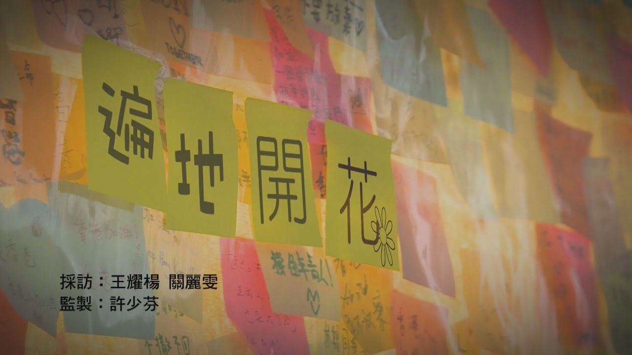 【經緯線】遍地開花