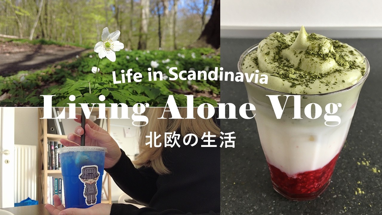 Living Alone in Scandinavia 🏡 DIY Terrarium 🌿 Raspberry Matcha Latte 🍵🍓 Cat Sitting 🐈 Silent Vlog