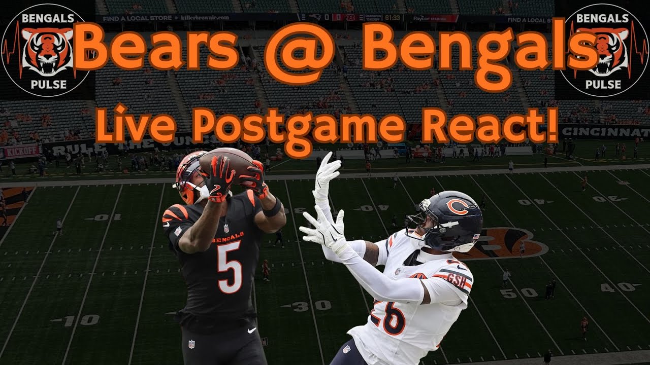 Реакция после игры Bengals Pulse Live: Медведи в Bengals