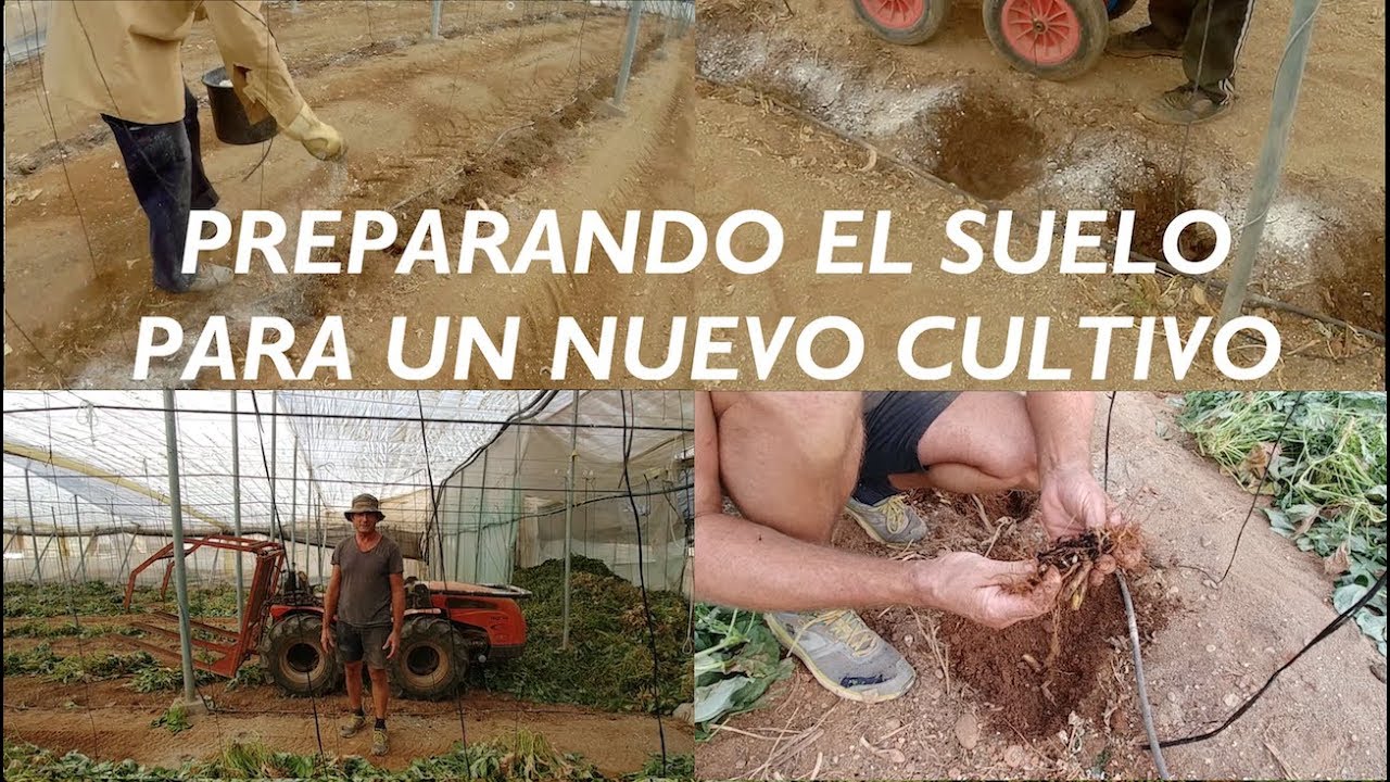 ¿Cómo preparamos el SUELO para un nuevo cultivo? || Organic Roquetas ||