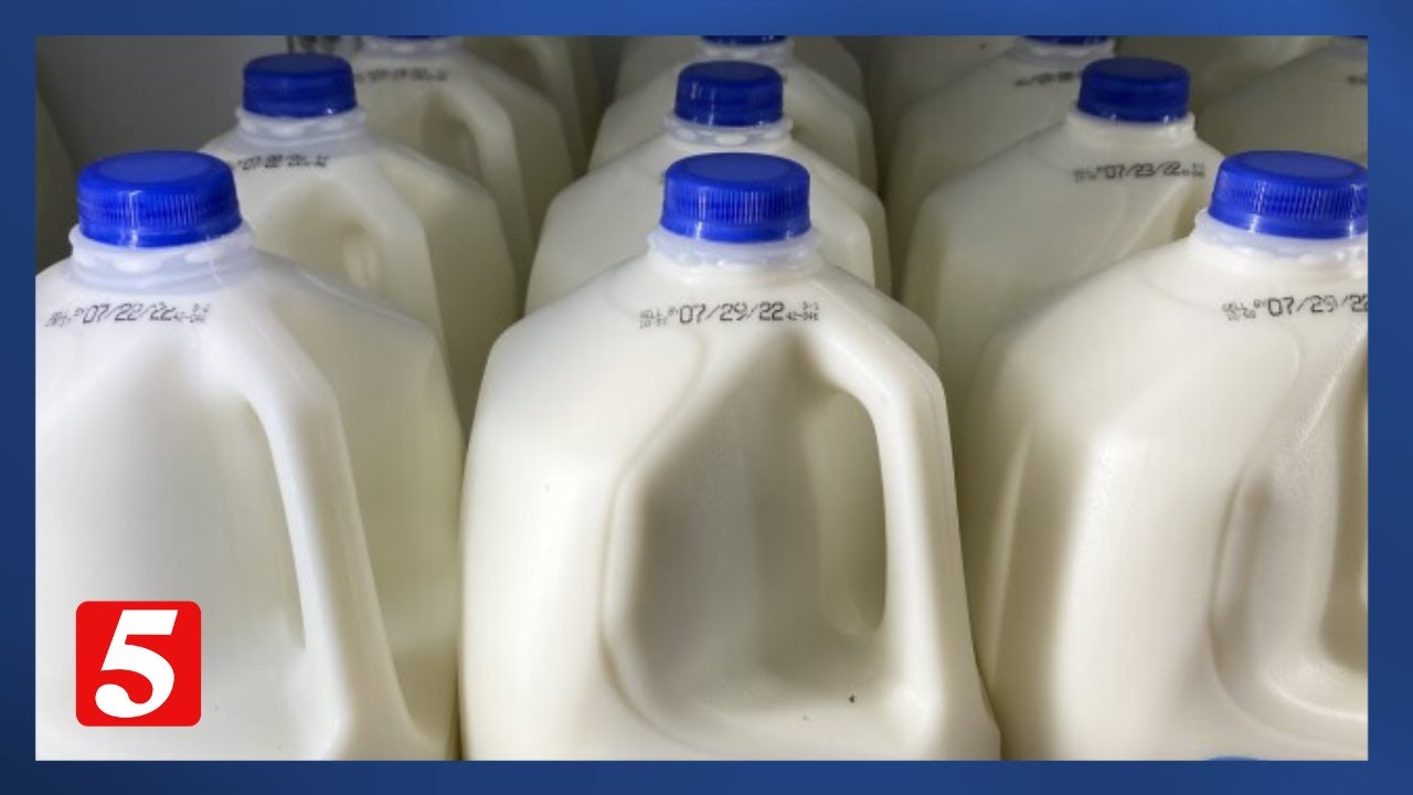 Is our milk supply safe? Consumer Reports finds out!