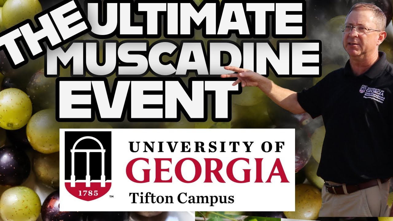 UGA Tifton Muscadine Test Vineyard Tour - 50+ Varieties - Full Length Exclusive! - EP 226