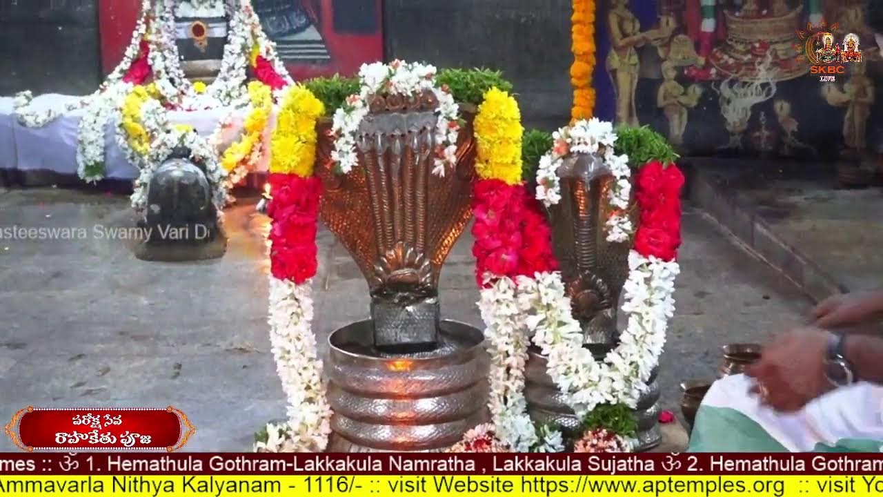 Paroksha Seva Rahu Kethu Pooja 17.01.2026