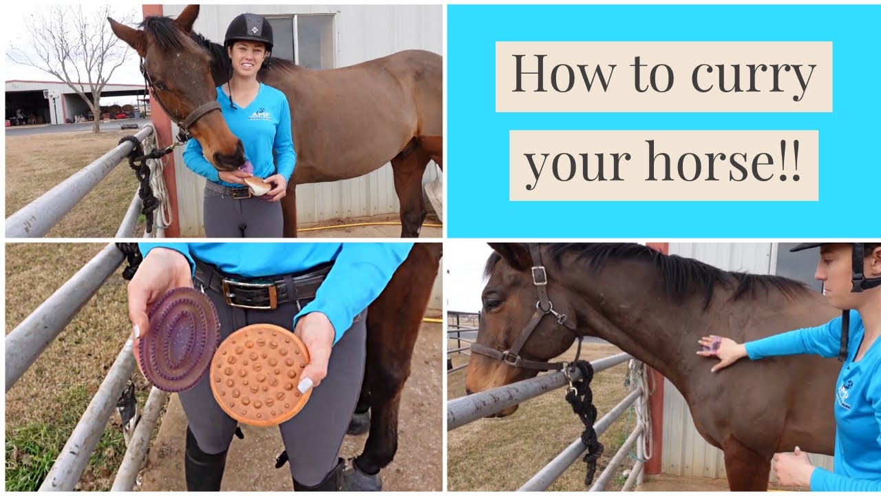 How to Use a Curry Comb!!