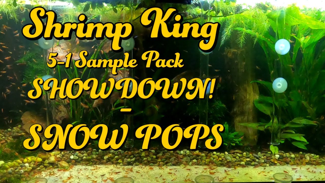 Shrimp King 5-1 Sample Pack Snow Pops - PSA EP28