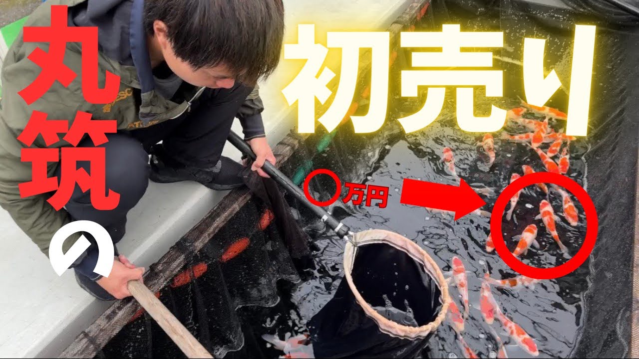 おかげさまで大盛況！あんな鯉やこんな鯉も？2024年の丸筑初売りセールの様子をお届けします♪