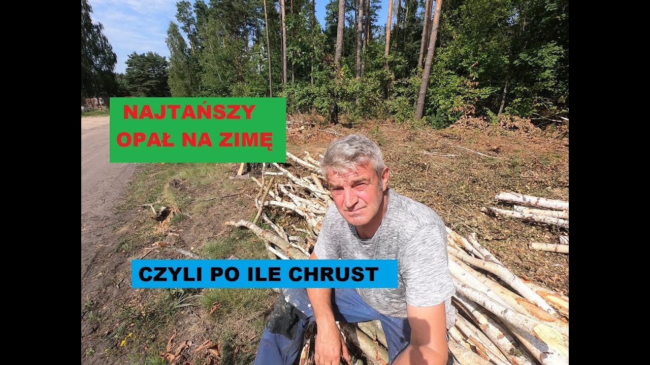 Najtańszy opał na zimę, czyli popularny chrust.