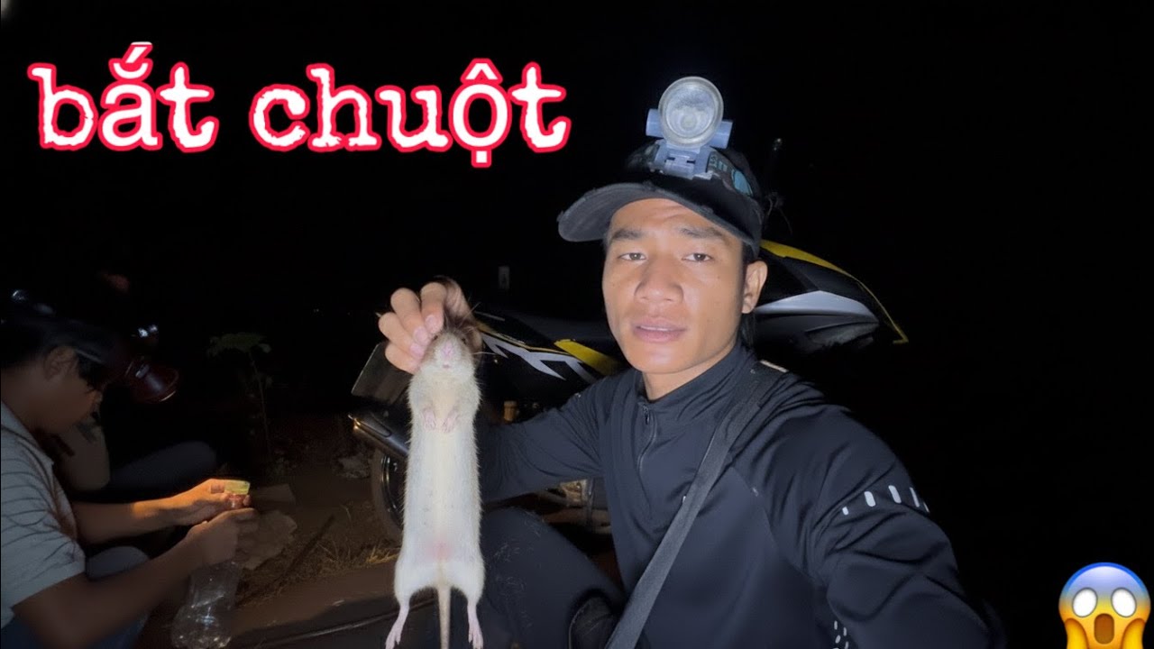 MỘT ĐÊM ĐI BẮT CHUỘT | VỀ LÀM MÓN CHUỘT NẤU CÀ ĐẮNG 