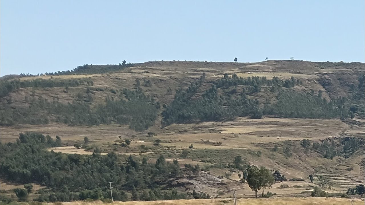 #አሰላሙ#አለይም#