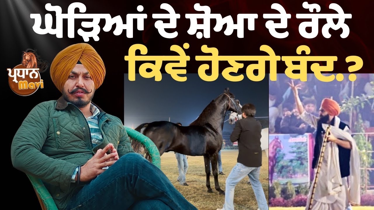 ਘੋੜਿਆਂ ਦੇ ਸ਼ੋਆ ਚ ਰੌਲੇ ਕਿਵੇਂ ਹੋਣਗੇ ਬੰਦ.? PARDHAN MAVI| MAVI STUD FARM|