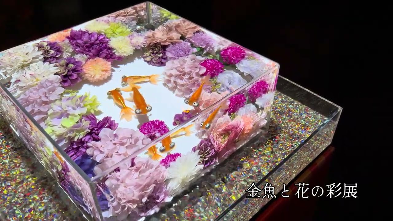 アートアクアリウム美術館GINZA
