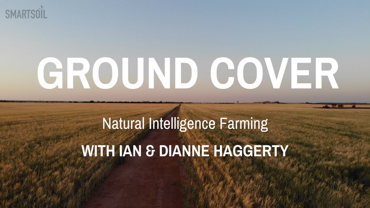 Smartsoil Ground Cover - Ian & Dianne Haggerty - Regenerative agriculture