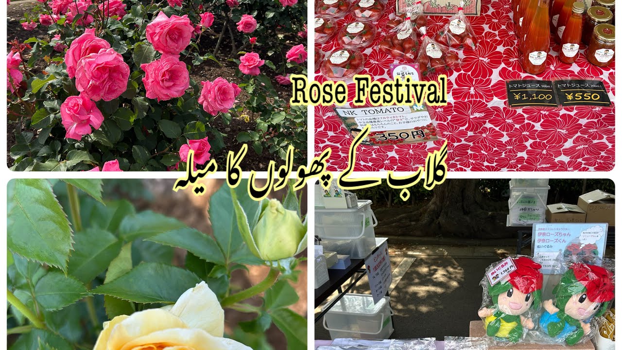 Rose Festival/گلاب کے پھولوں کا میلہ