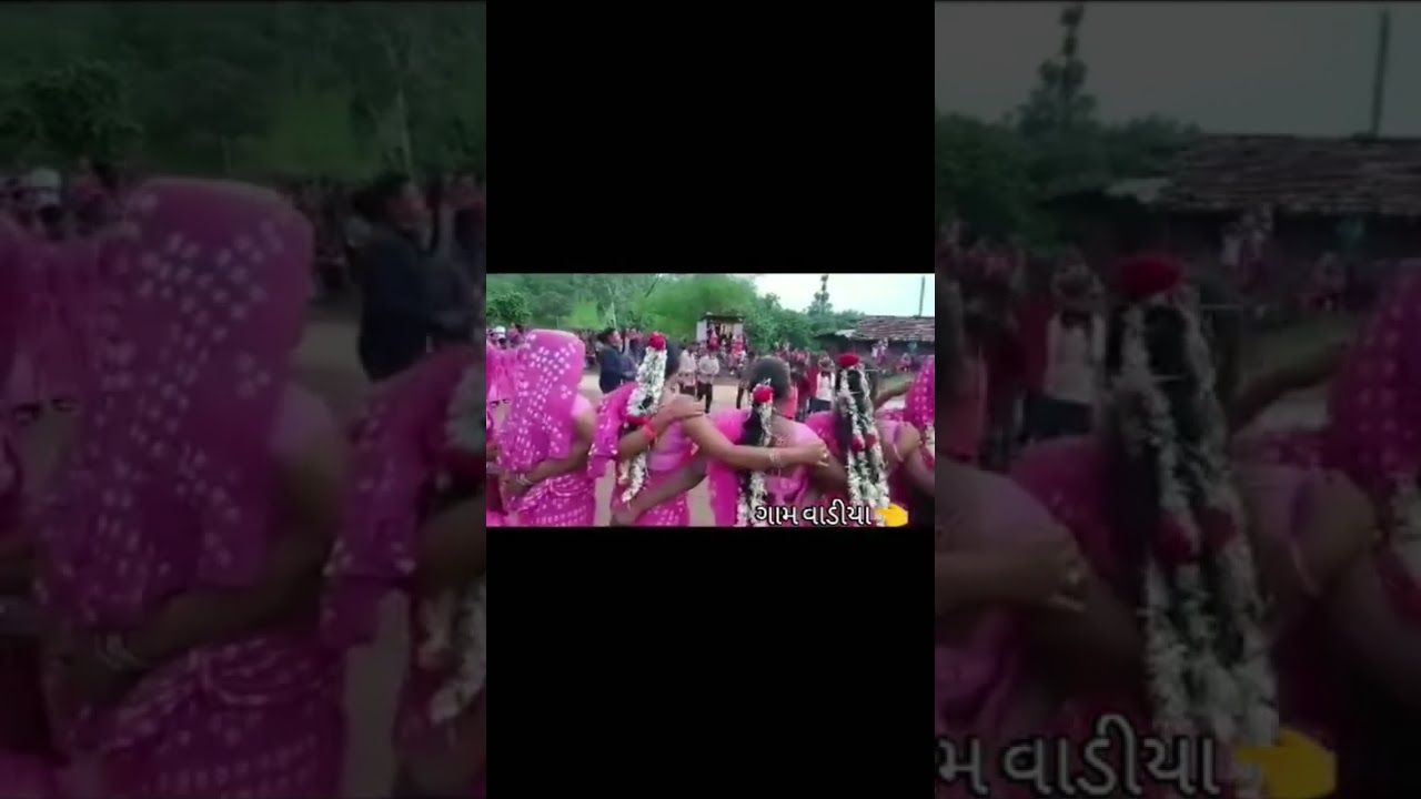 vadiya gam no adivasi divaso Dan's video ll