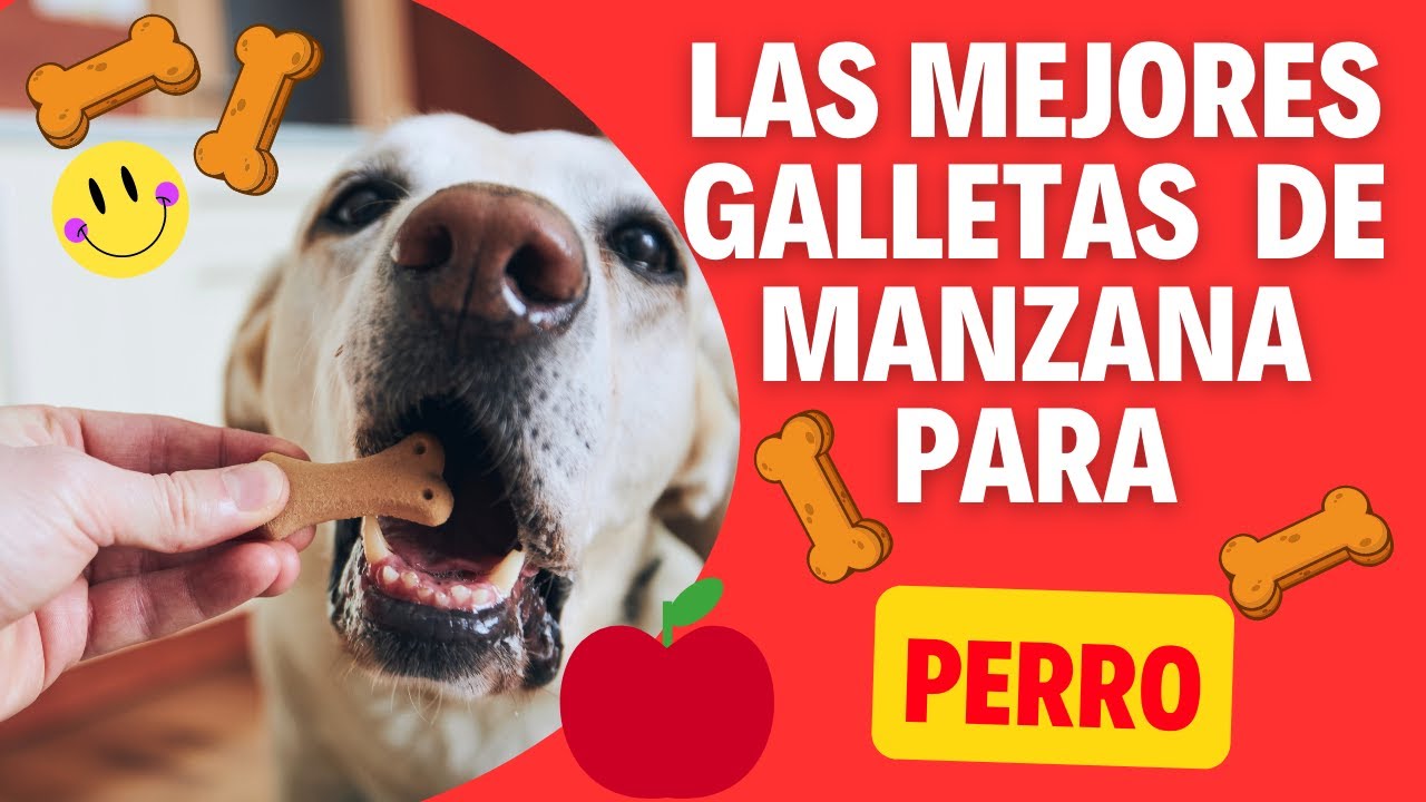 Galletas de manzana para perros naturales /🍎🍎🐶