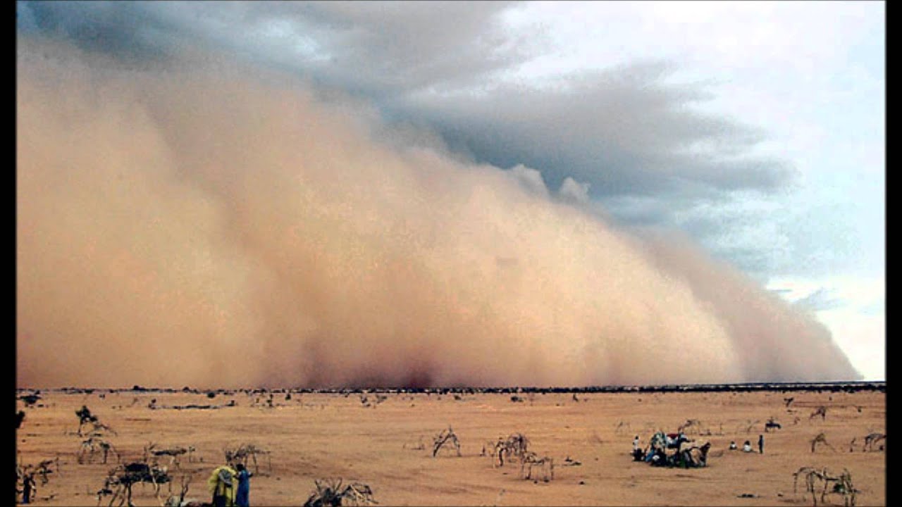 Sandstorm vs Levels (Slim Vim Mashup)