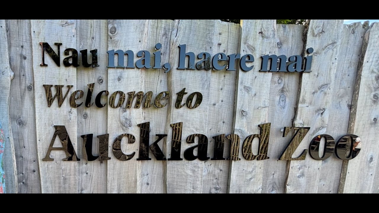 Romel Hasan Was live From Auckland Zoo