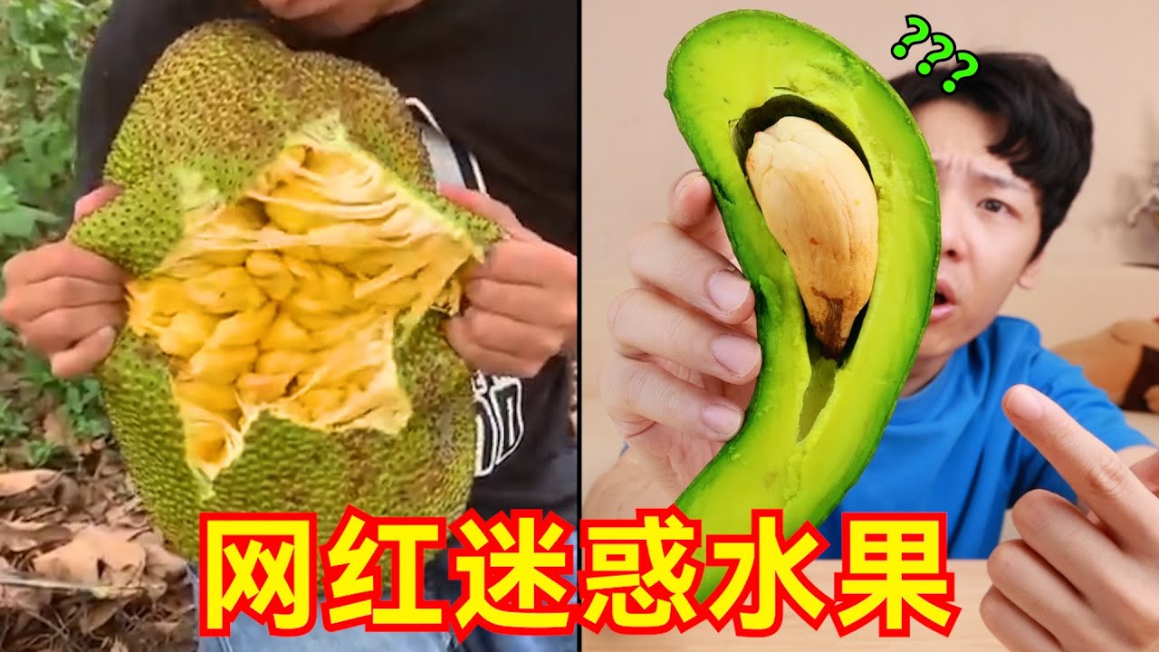 这届“网红水果”太抽象了！因为他善！